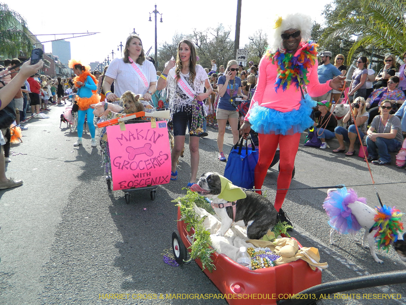 Mystic-Krewe-of-Barkus-HC-2013-1042