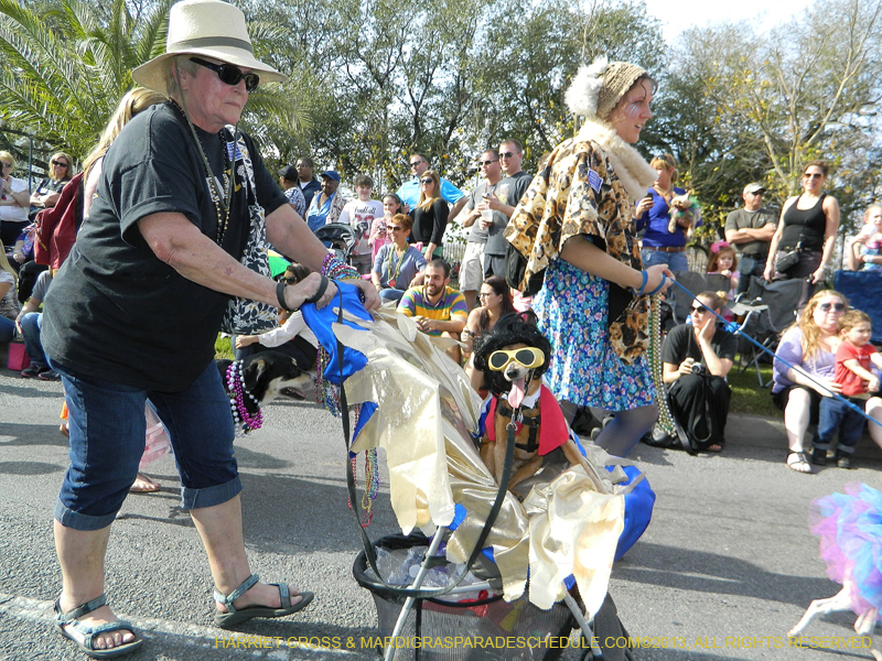Mystic-Krewe-of-Barkus-HC-2013-1044