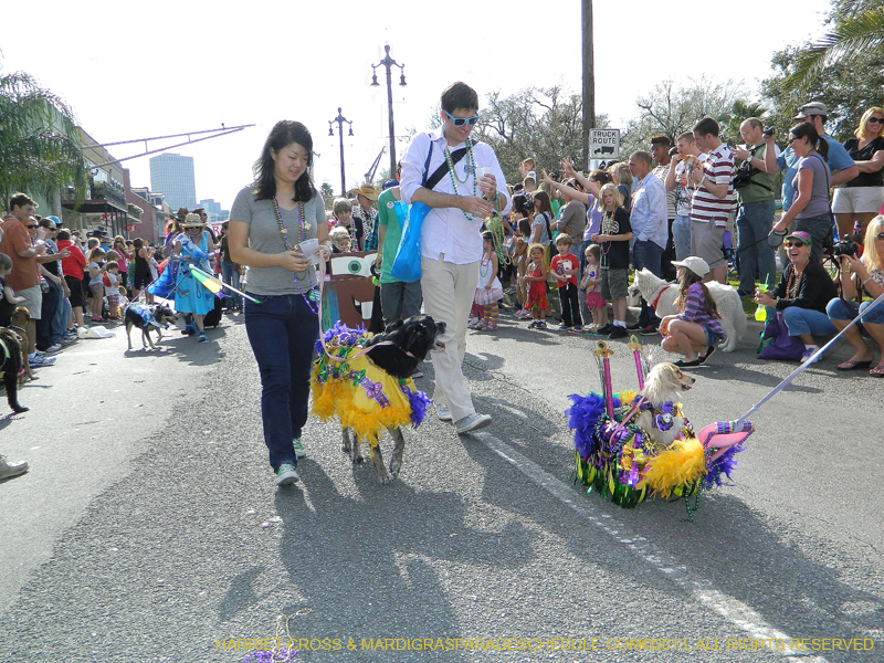 Mystic-Krewe-of-Barkus-HC-2013-1047