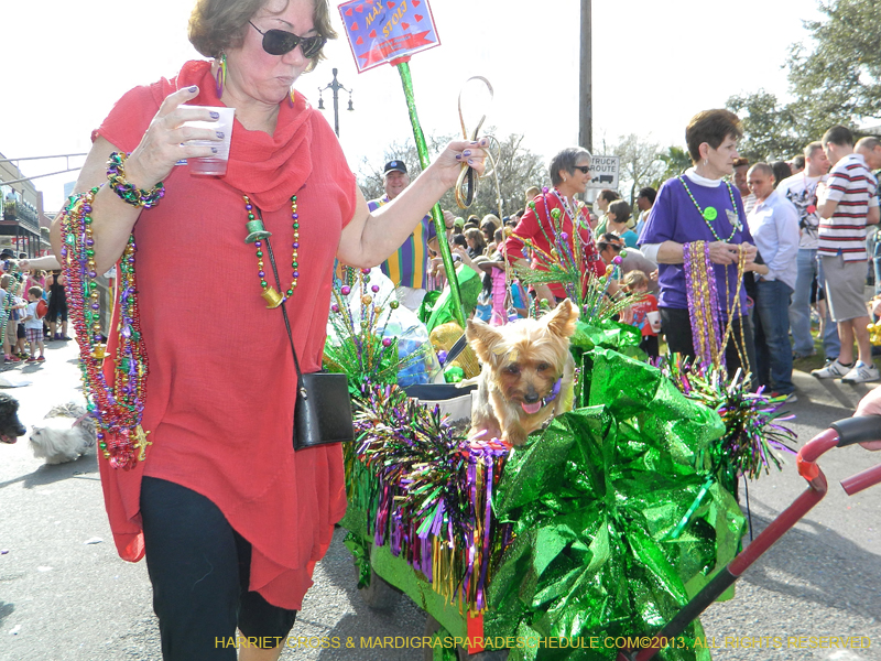 Mystic-Krewe-of-Barkus-HC-2013-1049