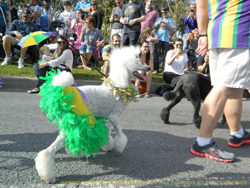 Mystic-Krewe-of-Barkus-HC-2013-1050