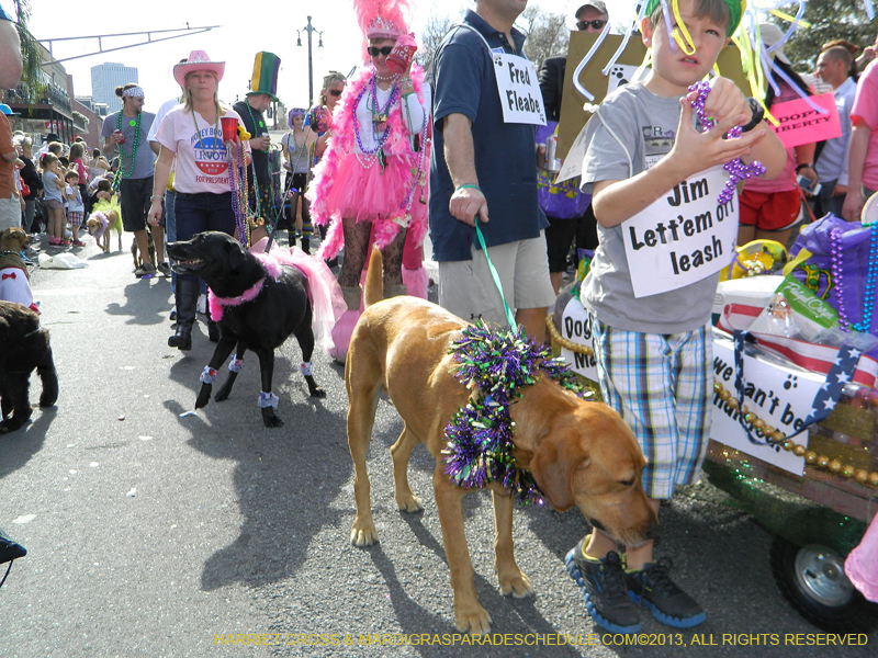 Mystic-Krewe-of-Barkus-HC-2013-1054