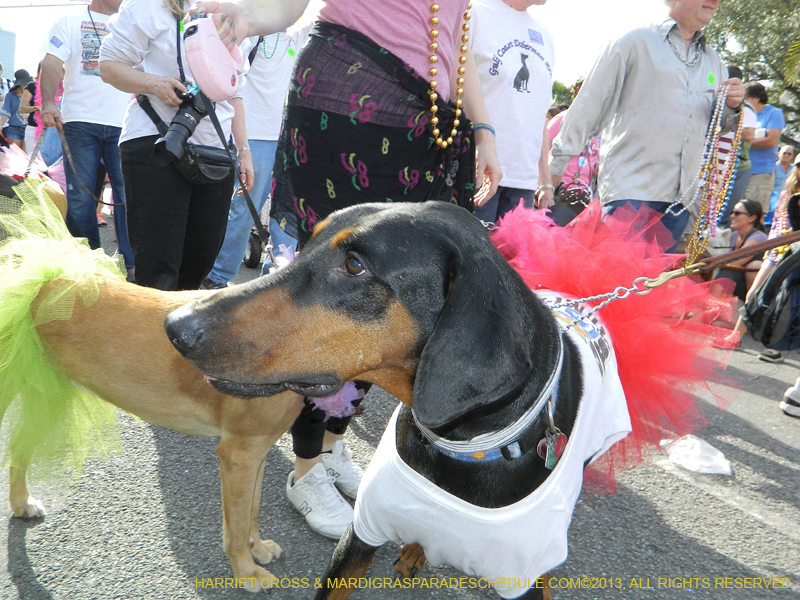 Mystic-Krewe-of-Barkus-HC-2013-1057