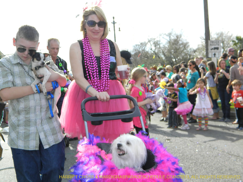 Mystic-Krewe-of-Barkus-HC-2013-1060