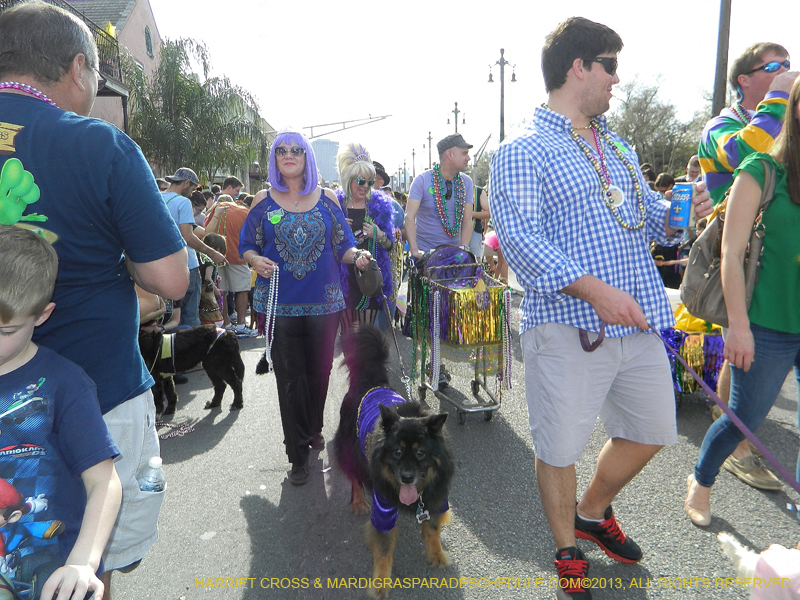 Mystic-Krewe-of-Barkus-HC-2013-1061