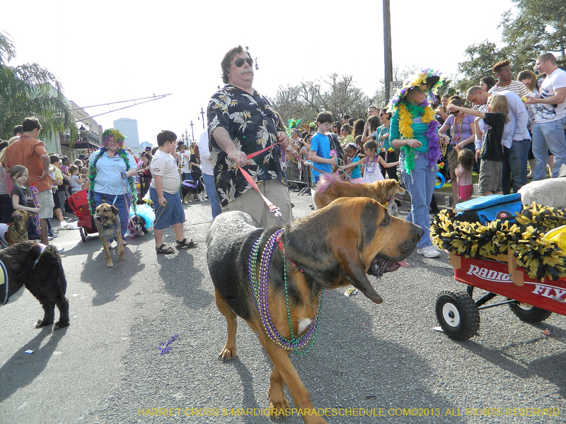 Mystic-Krewe-of-Barkus-HC-2013-1065