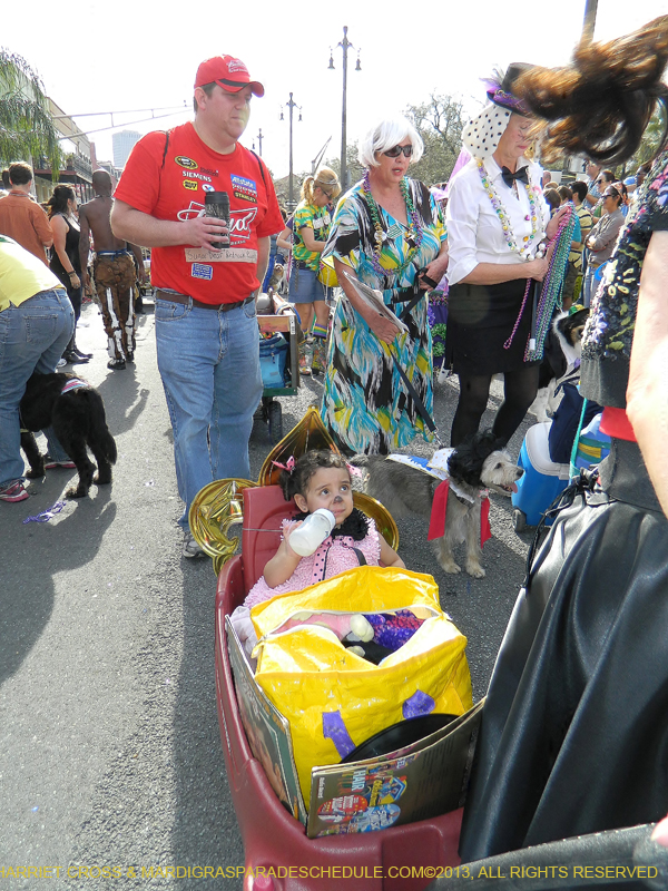 Mystic-Krewe-of-Barkus-HC-2013-1067