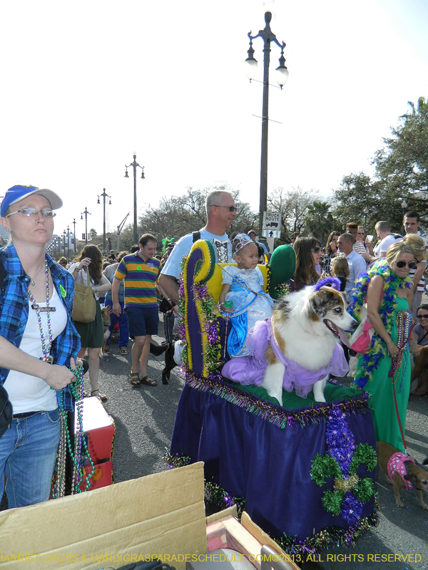 Mystic-Krewe-of-Barkus-HC-2013-1068