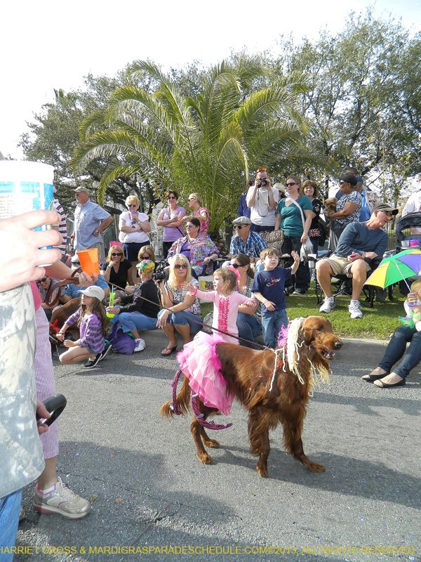 Mystic-Krewe-of-Barkus-HC-2013-1072