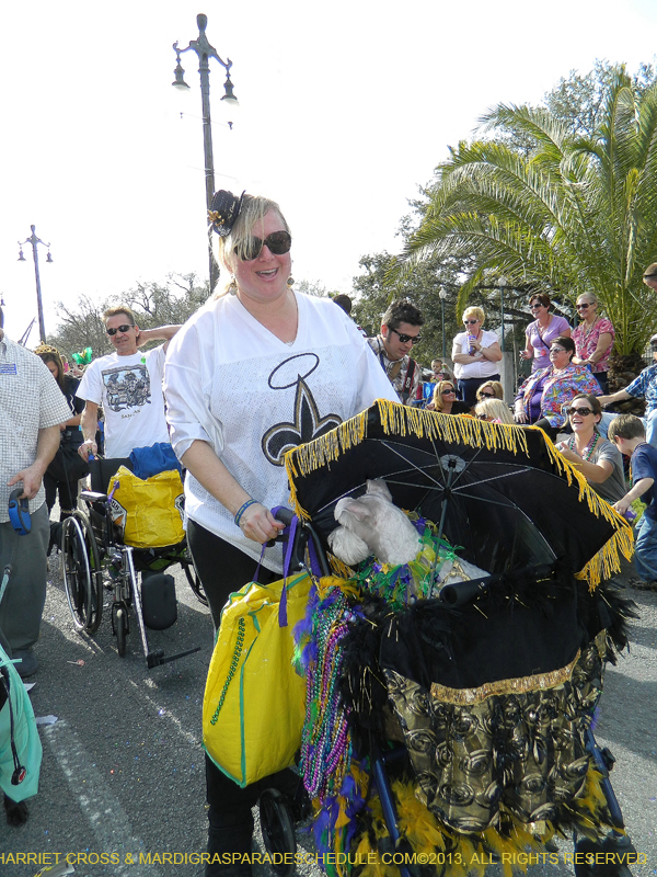 Mystic-Krewe-of-Barkus-HC-2013-1073