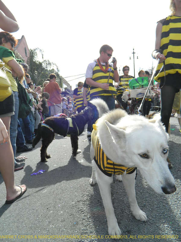 Mystic-Krewe-of-Barkus-HC-2013-1075