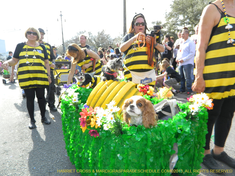 Mystic-Krewe-of-Barkus-HC-2013-1076