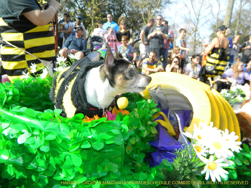 Mystic-Krewe-of-Barkus-HC-2013-1077