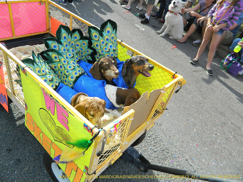 Mystic-Krewe-of-Barkus-HC-2013-1078