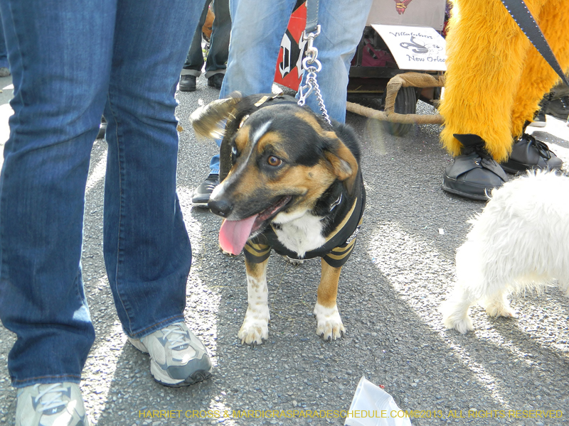 Mystic-Krewe-of-Barkus-HC-2013-1081