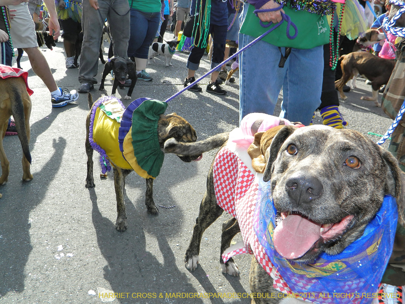 Mystic-Krewe-of-Barkus-HC-2013-1084