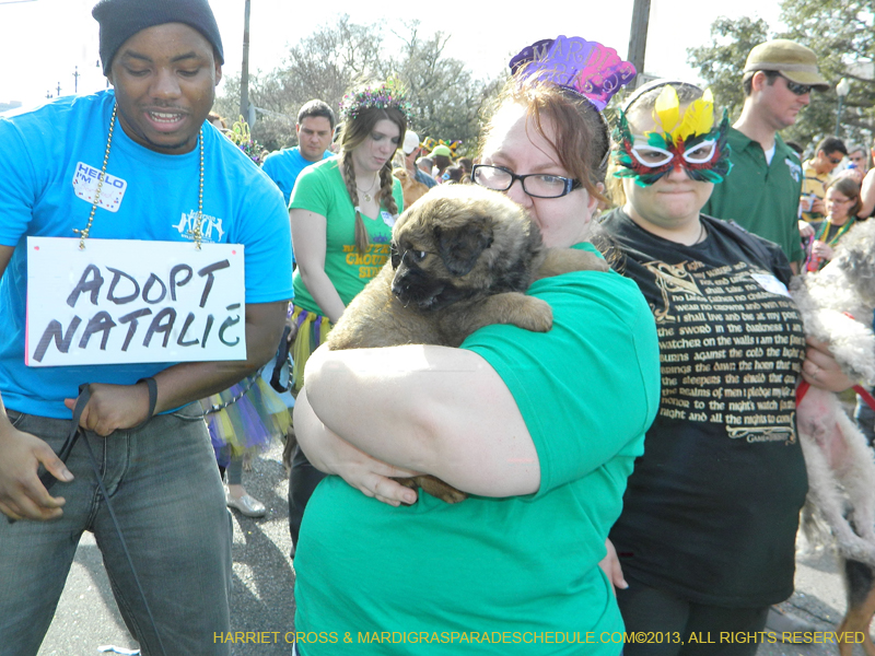 Mystic-Krewe-of-Barkus-HC-2013-1085
