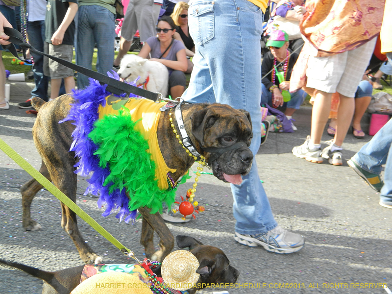 Mystic-Krewe-of-Barkus-HC-2013-1092