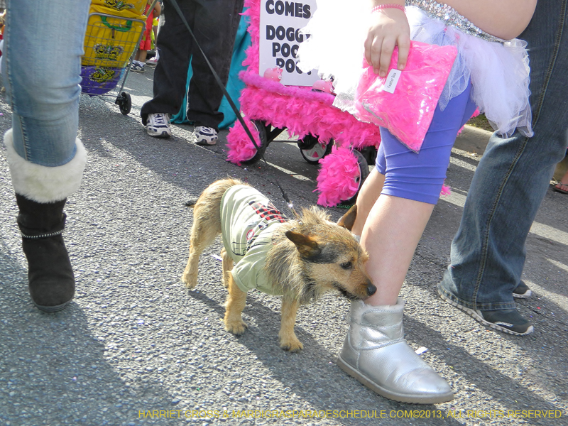 Mystic-Krewe-of-Barkus-HC-2013-1094