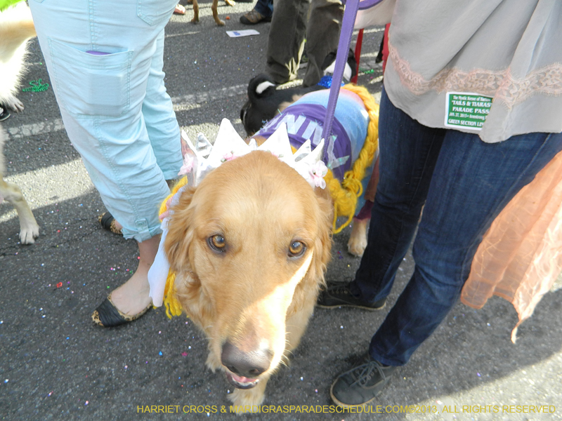 Mystic-Krewe-of-Barkus-HC-2013-1098