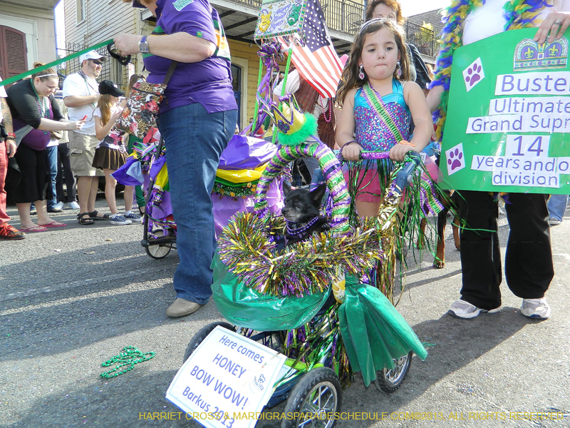 Mystic-Krewe-of-Barkus-HC-2013-1099
