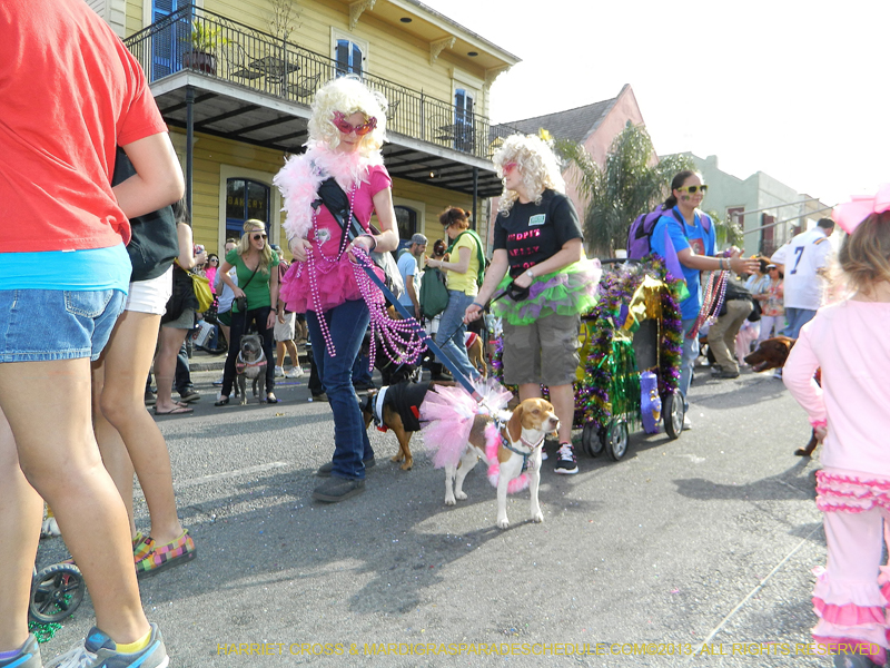 Mystic-Krewe-of-Barkus-HC-2013-1103