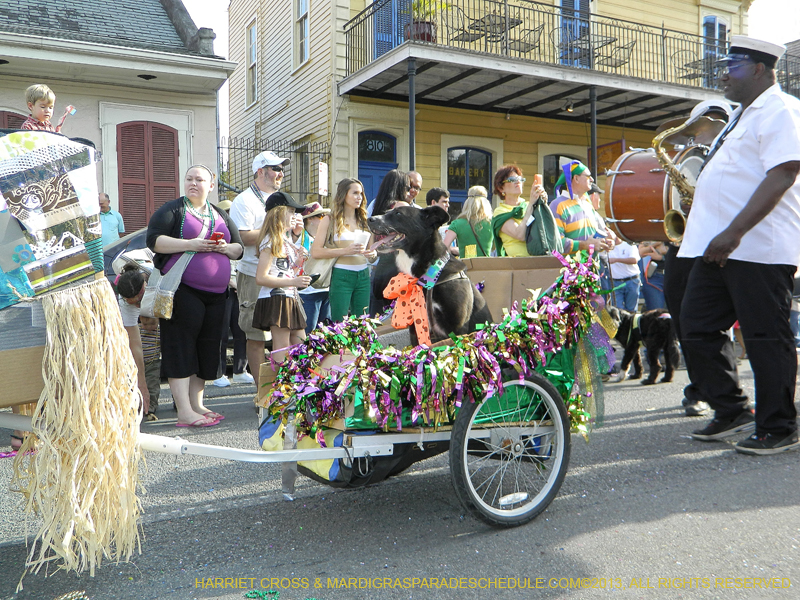Mystic-Krewe-of-Barkus-HC-2013-1107