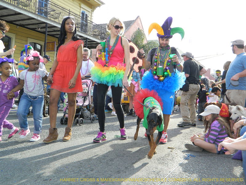 Mystic-Krewe-of-Barkus-HC-2013-1108