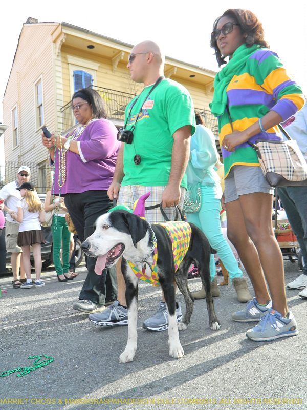 Mystic-Krewe-of-Barkus-HC-2013-1112