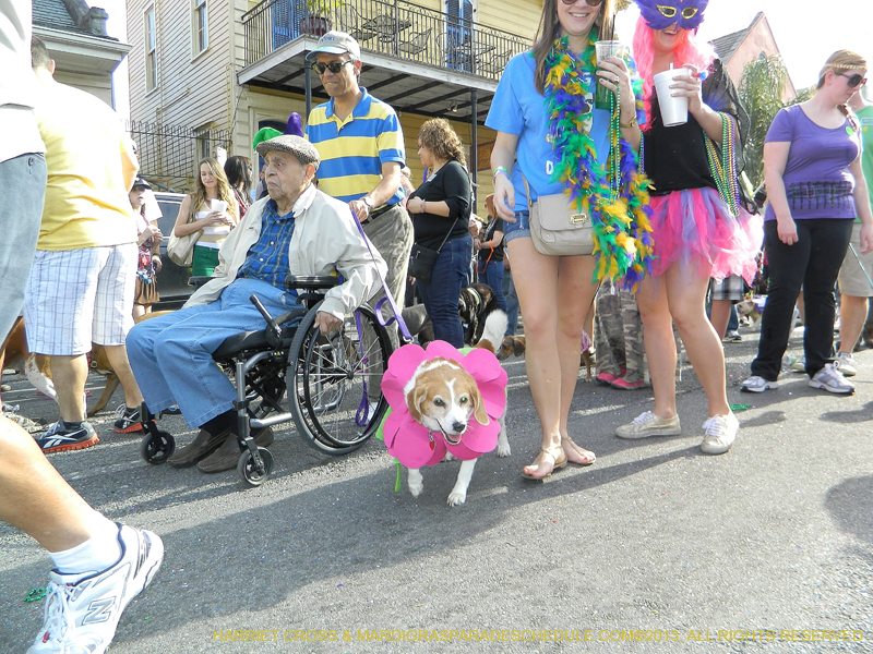 Mystic-Krewe-of-Barkus-HC-2013-1113