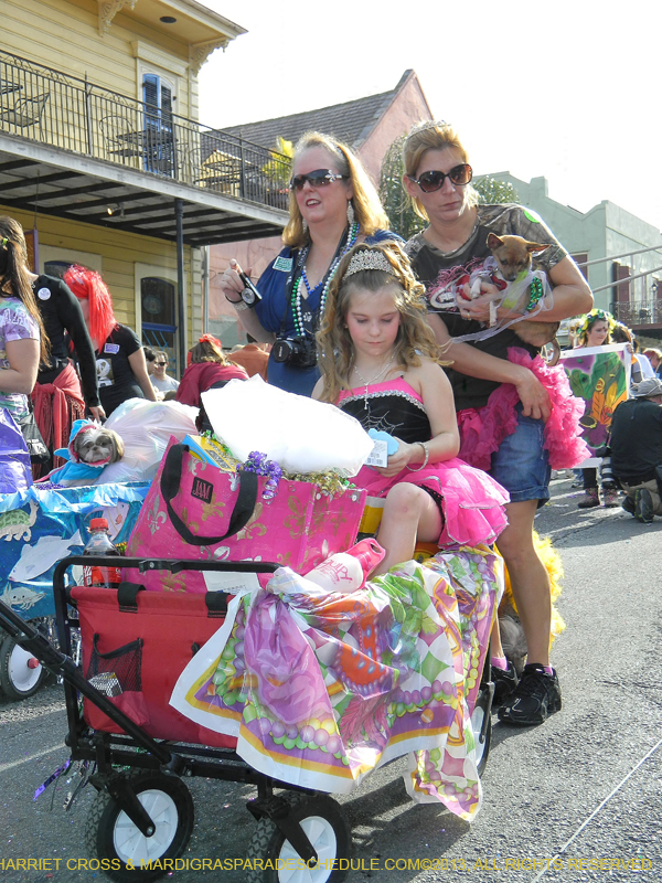 Mystic-Krewe-of-Barkus-HC-2013-1120