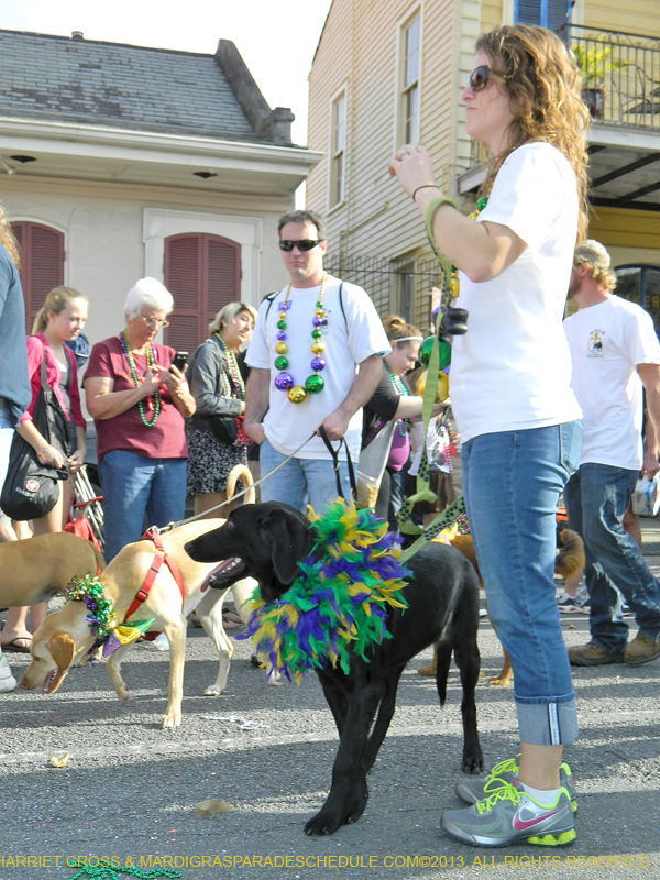 Mystic-Krewe-of-Barkus-HC-2013-1125