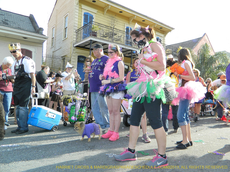Mystic-Krewe-of-Barkus-HC-2013-1126