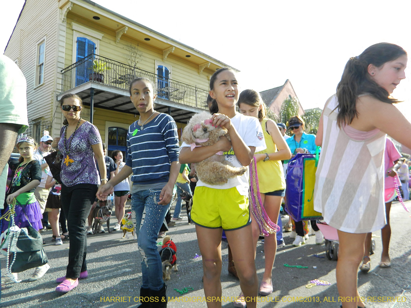 Mystic-Krewe-of-Barkus-HC-2013-1128