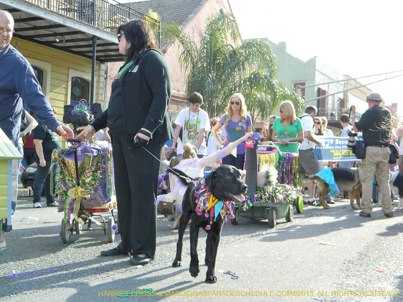 Mystic-Krewe-of-Barkus-HC-2013-1129