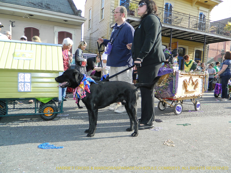 Mystic-Krewe-of-Barkus-HC-2013-1131
