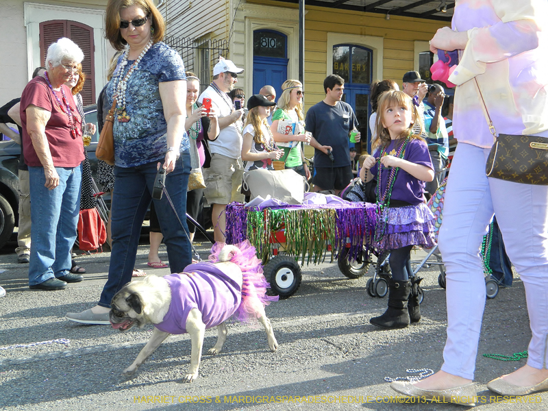 Mystic-Krewe-of-Barkus-HC-2013-1132