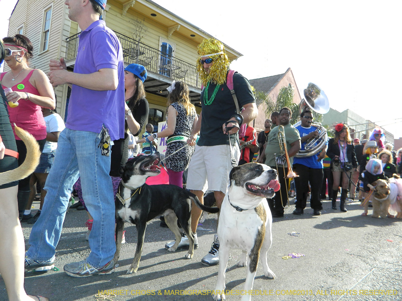 Mystic-Krewe-of-Barkus-HC-2013-1134