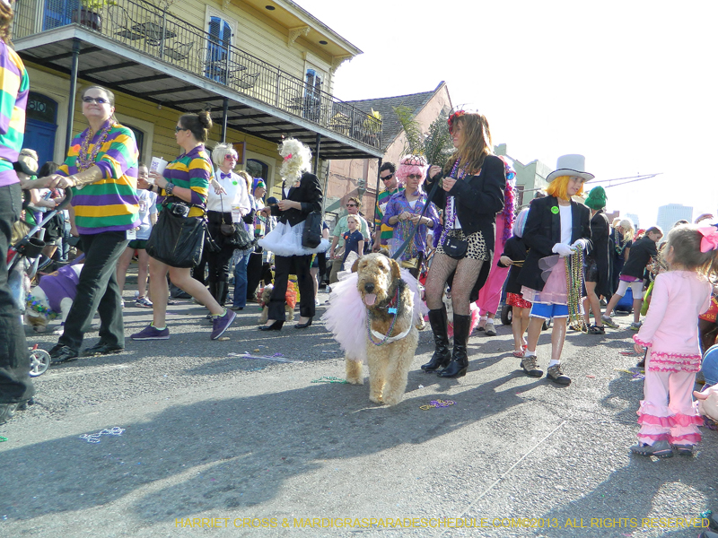 Mystic-Krewe-of-Barkus-HC-2013-1135
