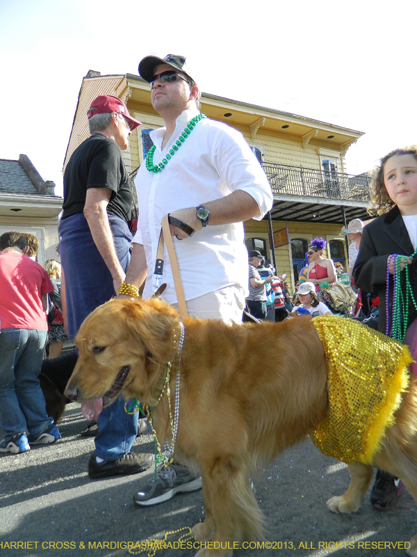 Mystic-Krewe-of-Barkus-HC-2013-1136