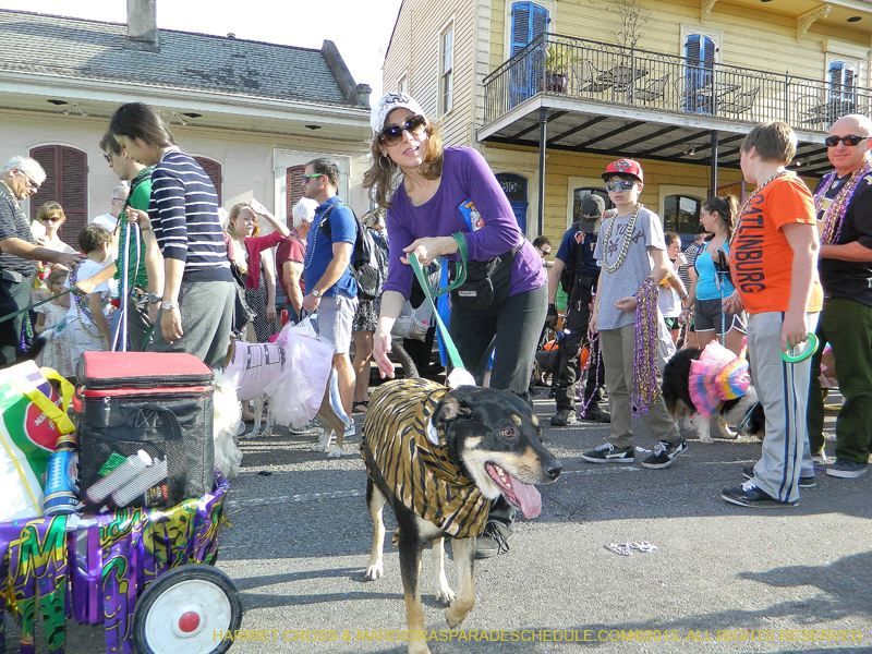Mystic-Krewe-of-Barkus-HC-2013-1138