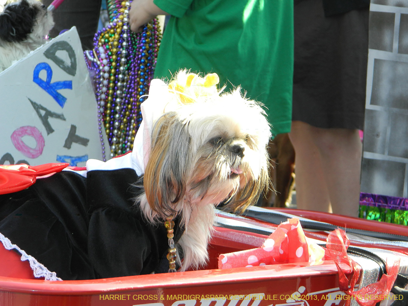 Mystic-Krewe-of-Barkus-HC-2013-1139