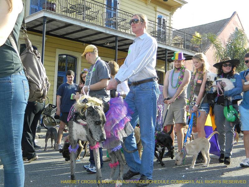 Mystic-Krewe-of-Barkus-HC-2013-1141