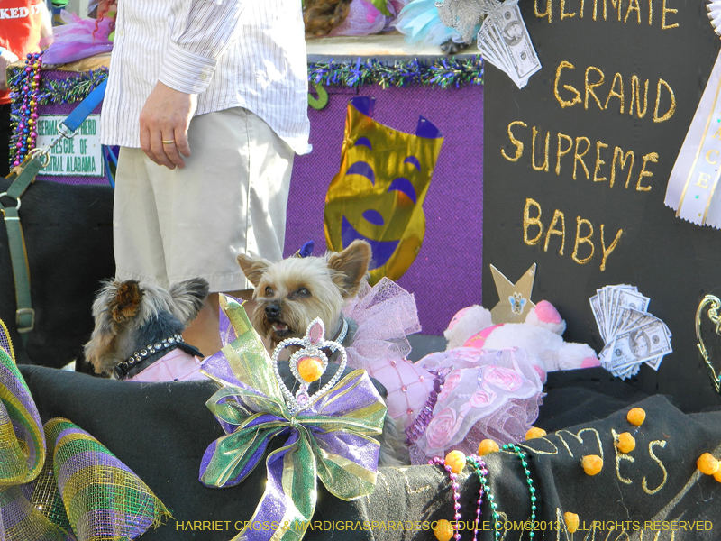 Mystic-Krewe-of-Barkus-HC-2013-1147
