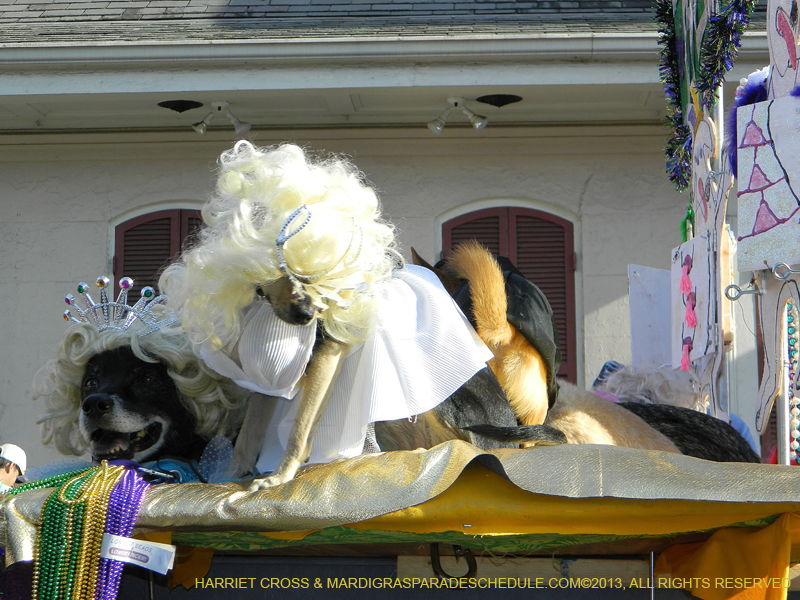 Mystic-Krewe-of-Barkus-HC-2013-1150