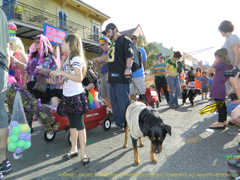 Mystic-Krewe-of-Barkus-HC-2013-1152