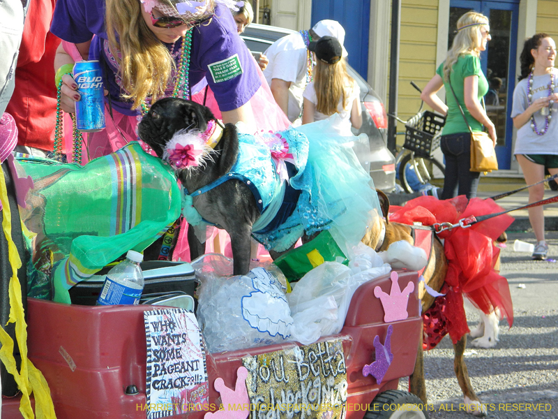Mystic-Krewe-of-Barkus-HC-2013-1159
