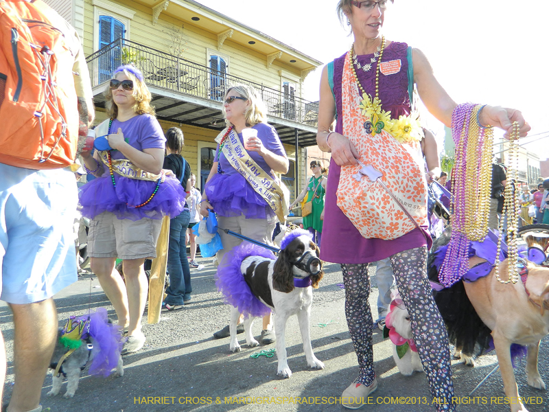 Mystic-Krewe-of-Barkus-HC-2013-1163