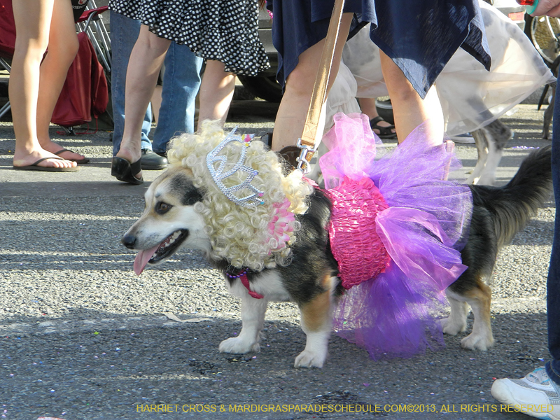 Mystic-Krewe-of-Barkus-HC-2013-1168