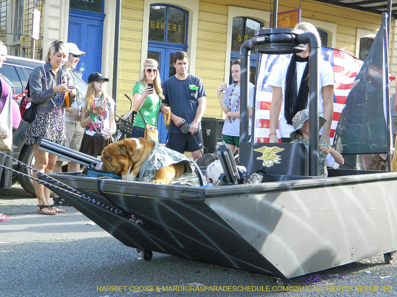 Mystic-Krewe-of-Barkus-HC-2013-1171